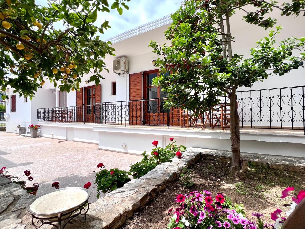 העיירה סקיאתוס Athanasia Apartments מראה חיצוני תמונה