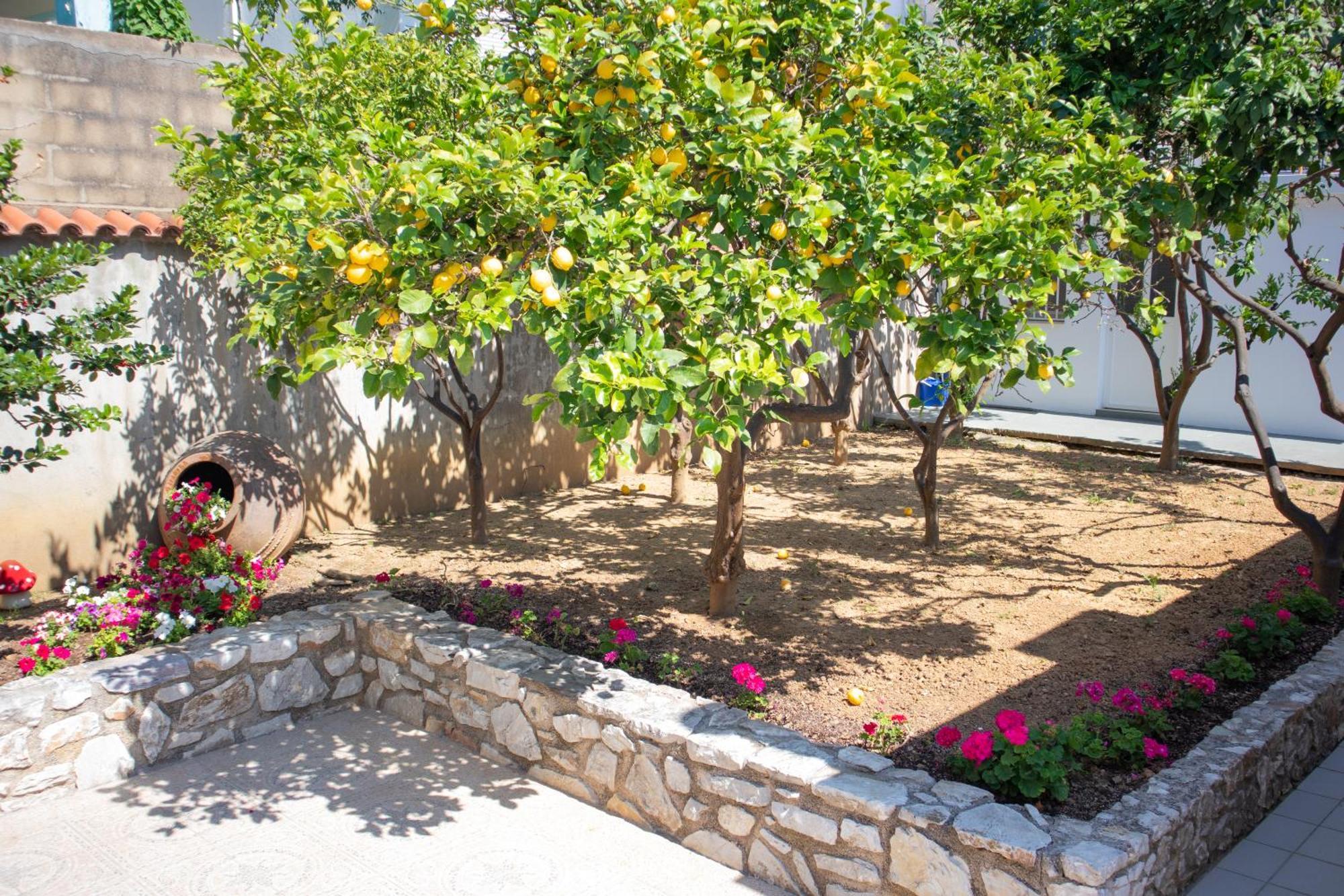 העיירה סקיאתוס Athanasia Apartments מראה חיצוני תמונה